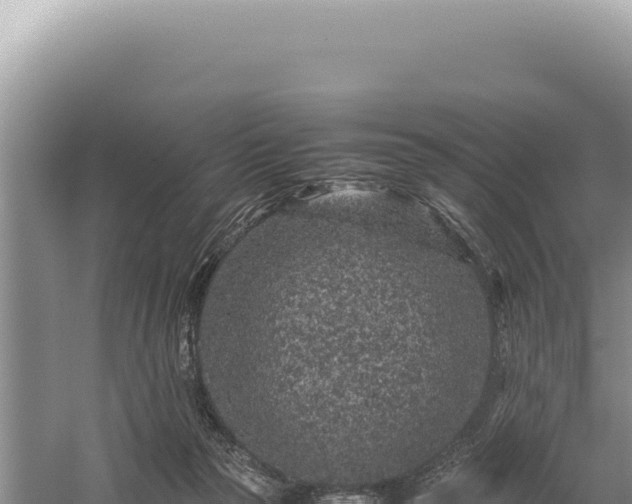 X0000059250169200510211638