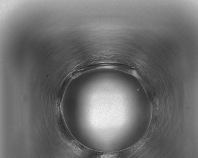 X0000059250172200510211638