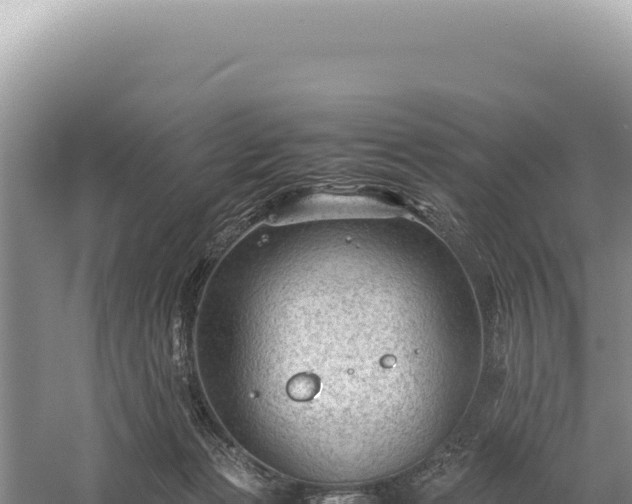 X0000059250173200510211638