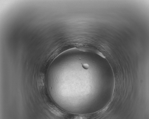 X0000059250174200510211638