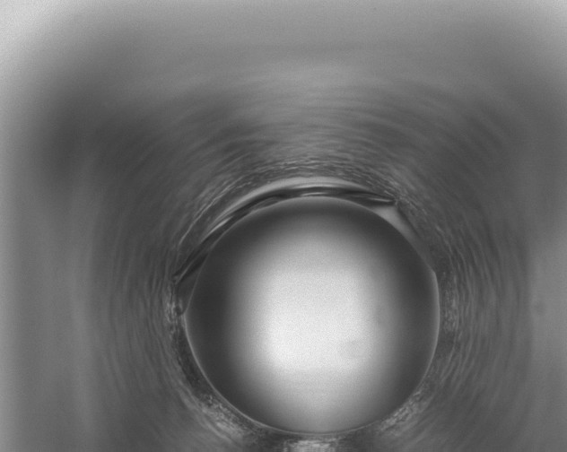 X0000059250176200510211638