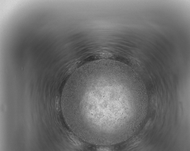 X0000059250177200510211638