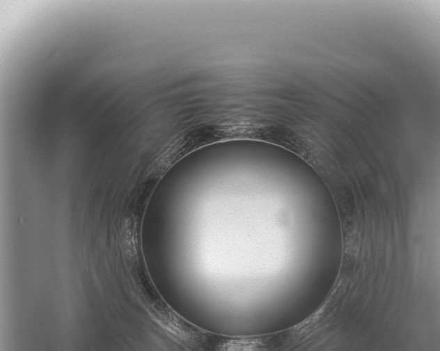 X0000059250179200510211638