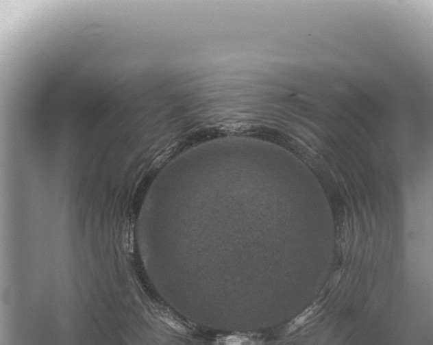 X0000059250180200510211638