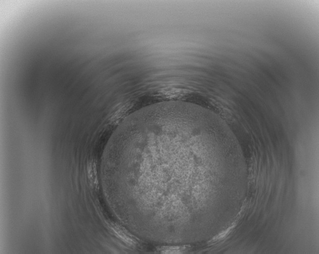 X0000059250182200510211638