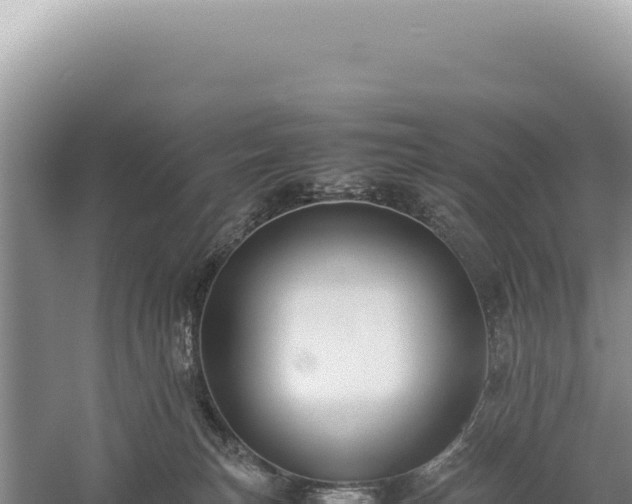 X0000059250183200510211638