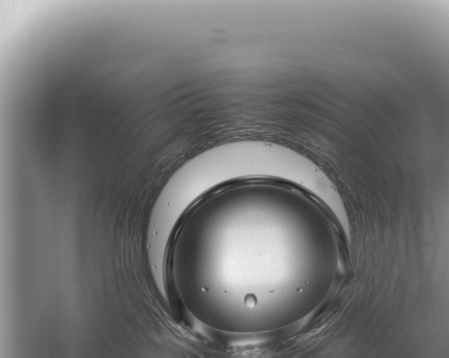 X0000059250185200510211638