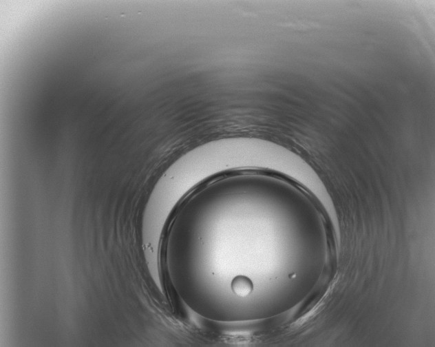 X0000059250187200510211638