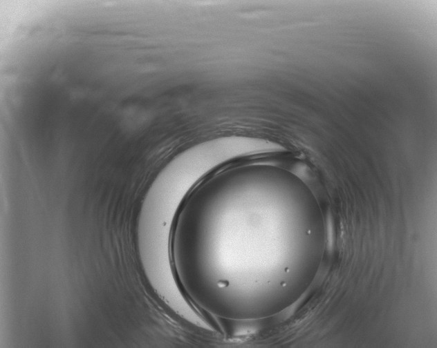 X0000059250189200510211638