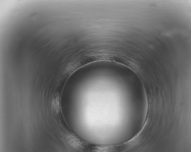 X0000059250190200510211638