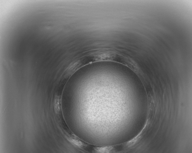 X0000059250191200510211638