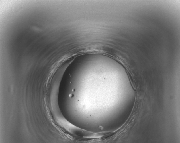 X0000059250193200510211638