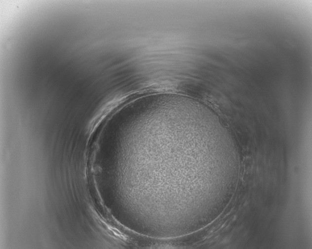 X0000059250194200510211638