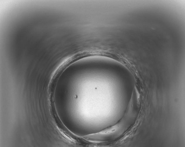 X0000059250197200510211638