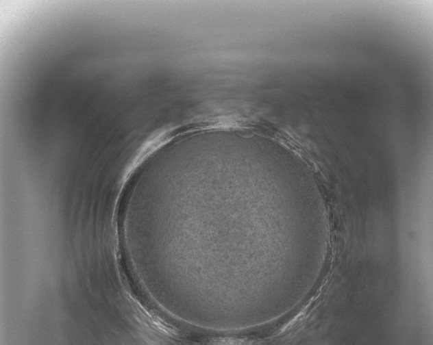 X0000059250198200510211638