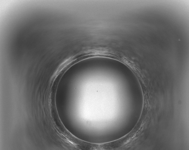 X0000059250199200510211638