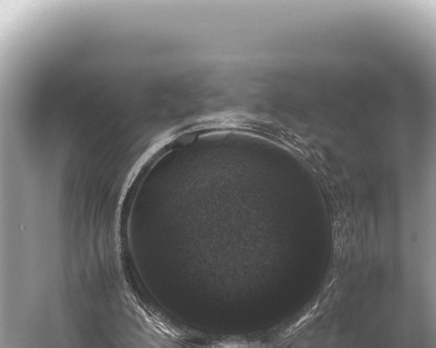 X0000059250200200510211637