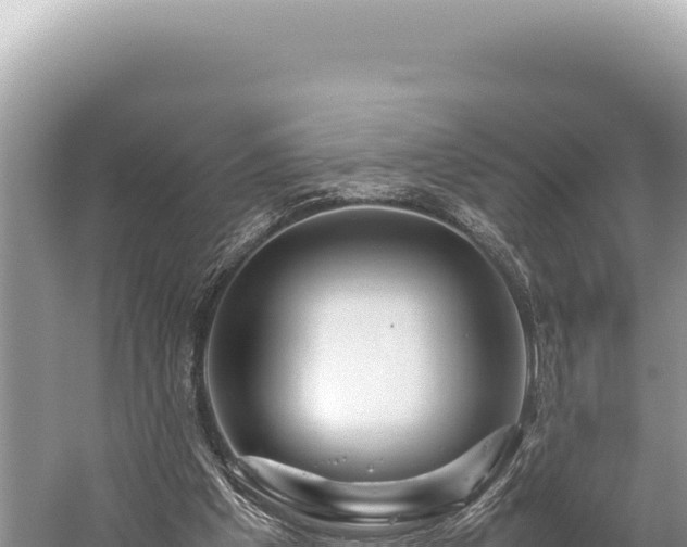 X0000059250201200510211637