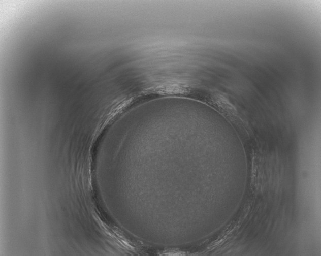 X0000059250202200510211637