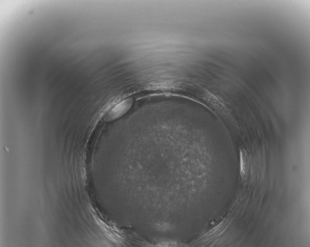 X0000059250204200510211637