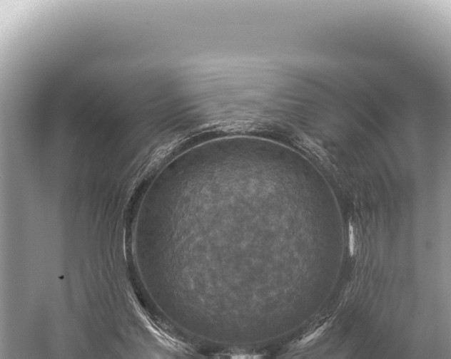 X0000059250205200510211637