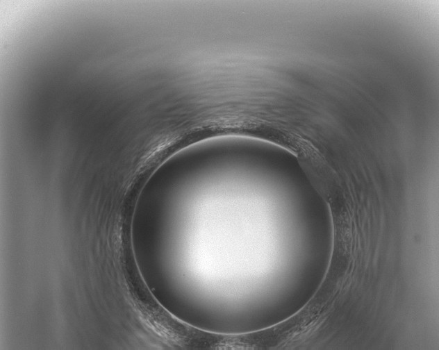 X0000059250207200510211637