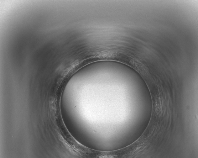 X0000059250208200510211637