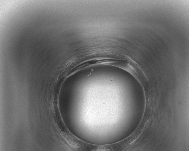 X0000059250209200510211637