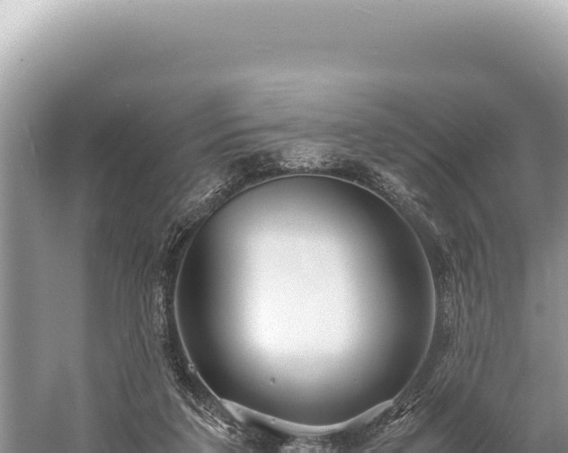 X0000059250211200510211637