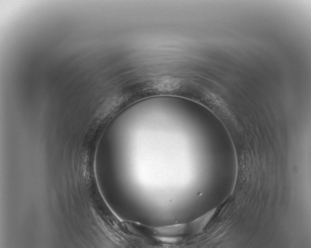 X0000059250212200510211637