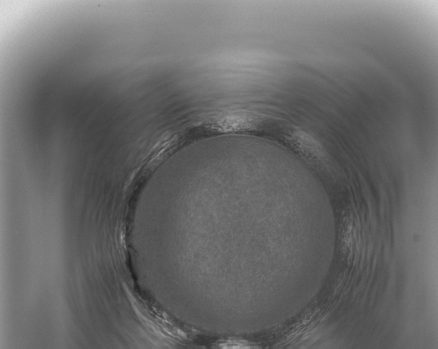 X0000059250214200510211637