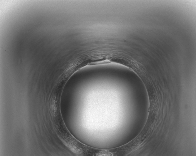 X0000059250215200510211637