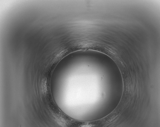 X0000059250216200510211637