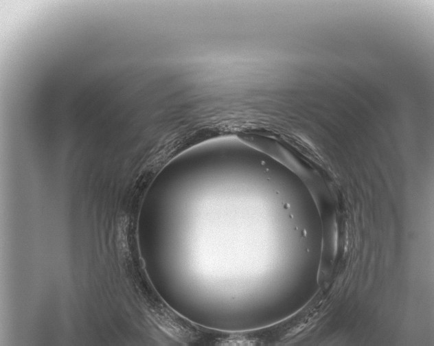 X0000059250217200510211637