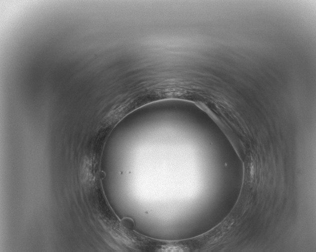 X0000059250218200510211637