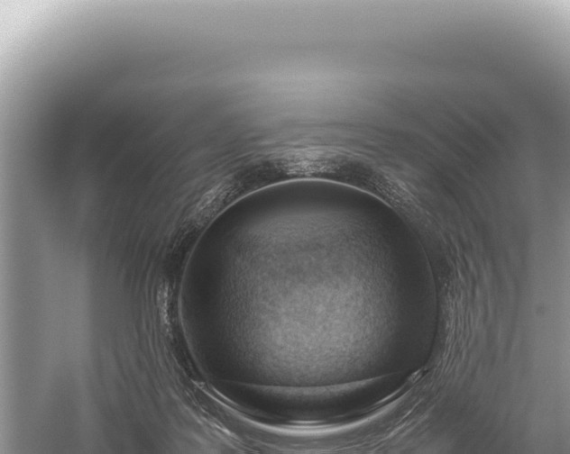 X0000059250219200510211637