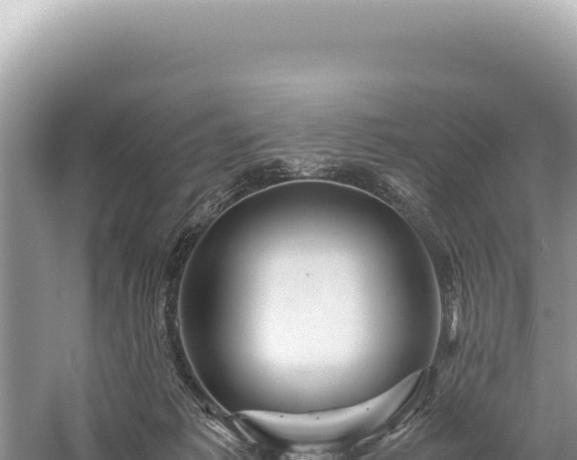 X0000059250221200510211637