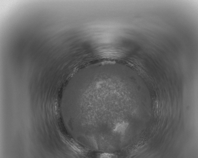 X0000059250222200510211637