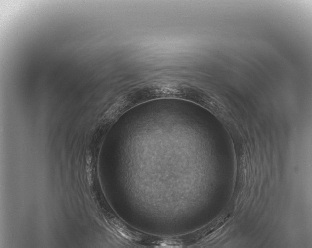 X0000059250223200510211637