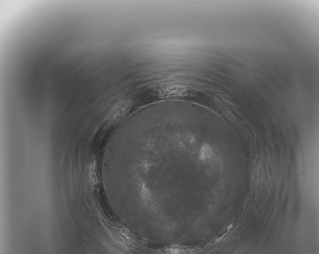 X0000059250224200510211637