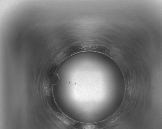 X0000059250226200510211637