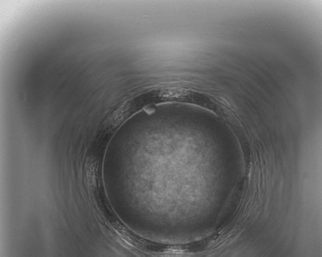 X0000059250227200510211637