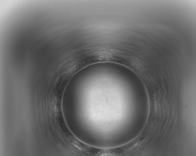 X0000059250228200510211637