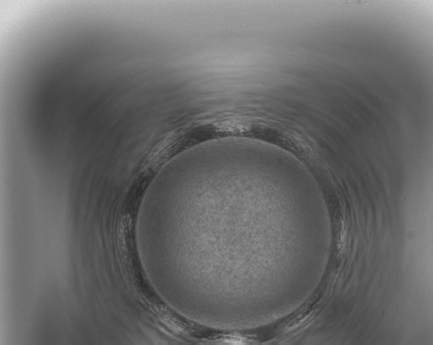 X0000059250229200510211637