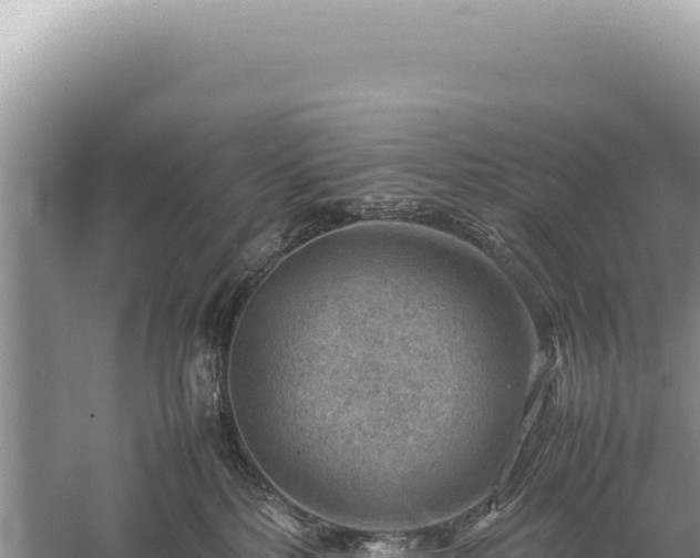 X0000059250232200510211637