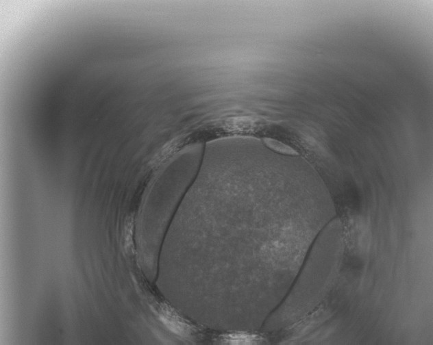 X0000059250233200510211637