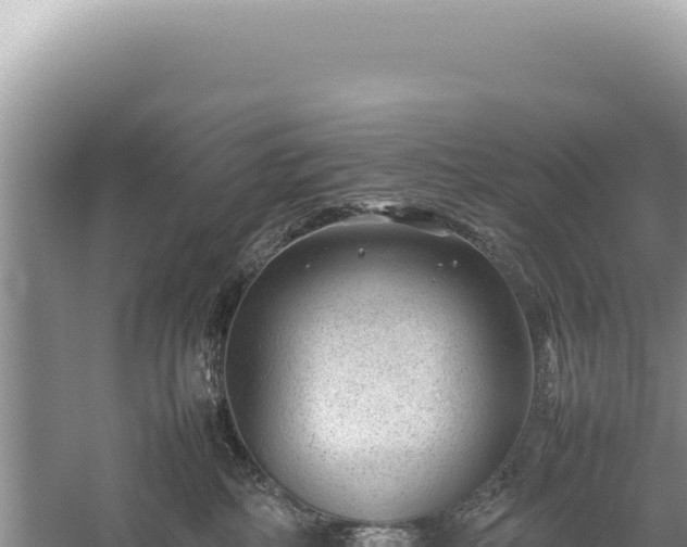 X0000059250234200510211637