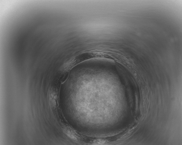 X0000059250235200510211637