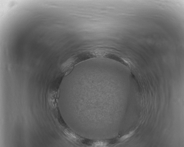 X0000059250237200510211637