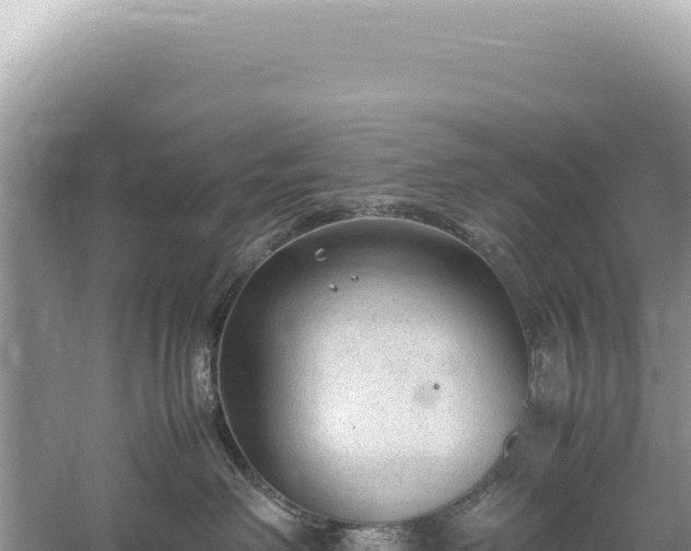 X0000059250238200510211637